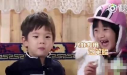 娱乐圈娱乐八卦吃瓜